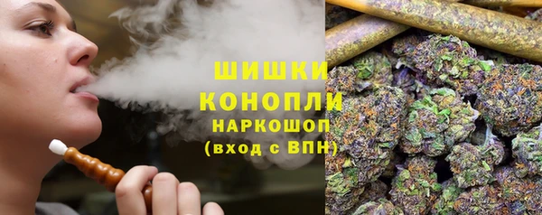 ПСИЛОЦИБИНОВЫЕ ГРИБЫ Алексин