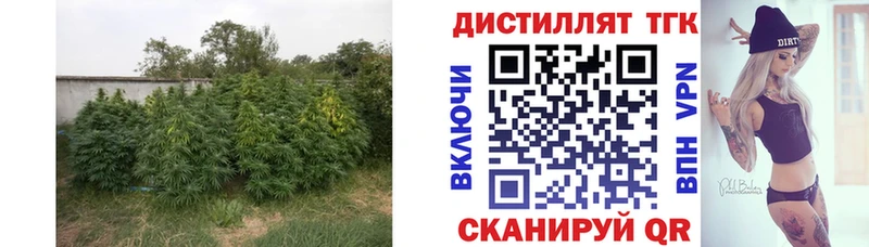 Дистиллят ТГК Wax  Первоуральск 